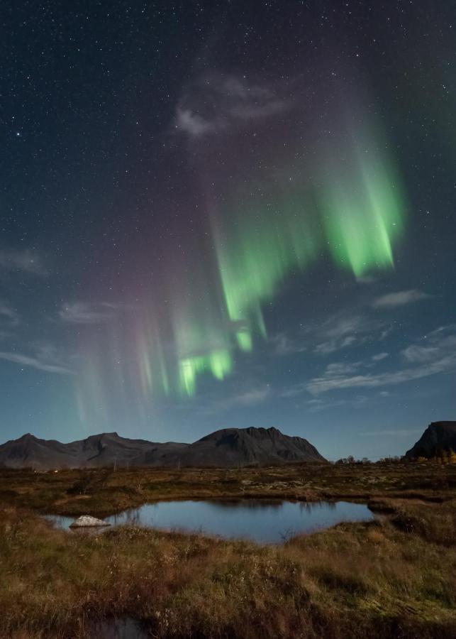Vila Lyngvaer Luggombu Kleppstad Exteriér fotografie